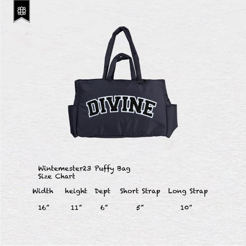 Divine　バッグ Geminiプライベートブランド《eパケット代込》