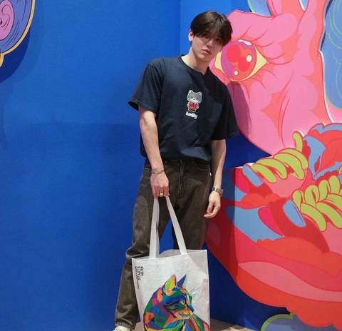 Cat Pop art トートバッグ(New 着用）《eパケット送料込》