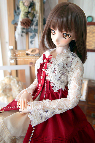 TOA Claris Web Shop