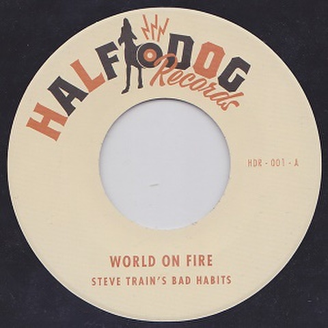 STEVE TRAIN'S BAD HABITS/World On Fire(7”)