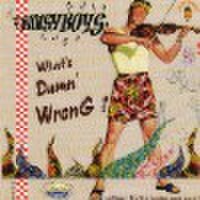 NOISY BOYS/What's Damn' Wrong?(CD)