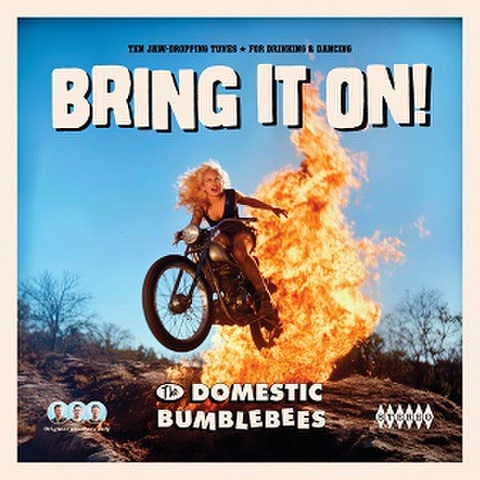 DOMESTIC BUMBLEBEES/Bring It On(CD)