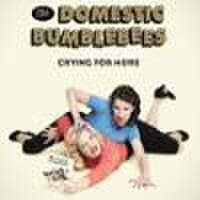 DOMESTIC BUMBLEBEES/Crying For More(CD)