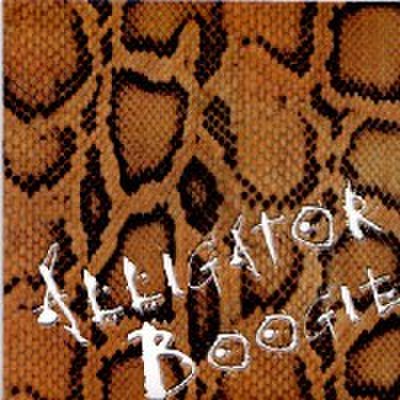 STEVE HOOKER & THE S'Ts/Alligator Boogie(45s)