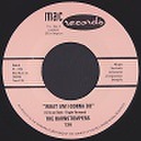 BARNSTOMPERS/What Am I Gonna Do(7")