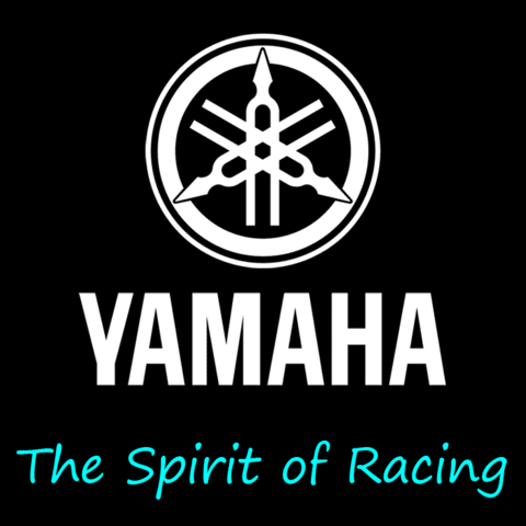 高速巡航ハイギアセット【YAMAHA 内装変速用-C】47T厚歯＋IZUMI ニッケルメッキチェーン【130L：洗浄・給油済み：クリップジョイント付属】＋ガタ防止シム6種＋固定スナップリング【上級者専用・返品不可】