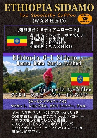 エチオピア　グジG-1　シダモ　ベンサ　ボナズリア農園　200ｇ