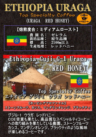 エチオピア　グジG-1　ゼレラム農園　ウラガ　レッドハニー　200ｇ