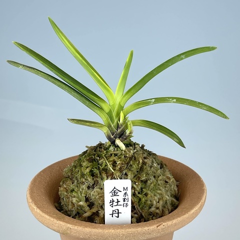 富貴蘭の商品一覧 | TOKYO酒田