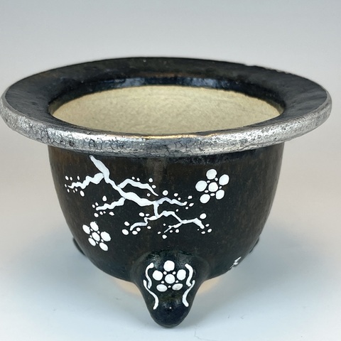 天山工房・武蔵天山窯)武蔵天山作・緑色系蘭鉢(富貴蘭・春蘭・セッコク・