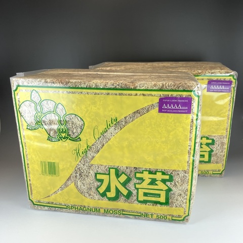 2025秋季特別セール品：５A500g×2個　※送料無料