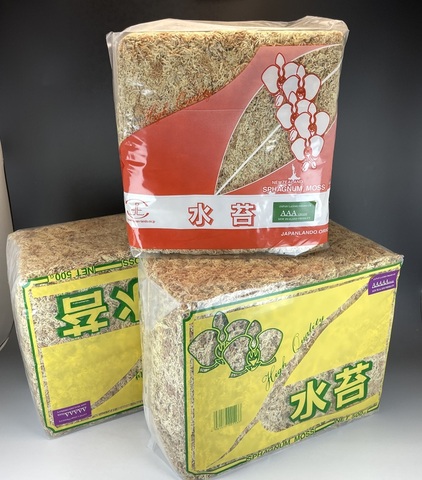 2025秋季特別セール品：５A500g×2個・３A500g×1個セット　※送料無料