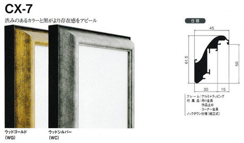 仮縁５本セット（F20,F15,F12,F10,F8） 出展用仮額の商品一覧 | アートおおがきのWEB通販