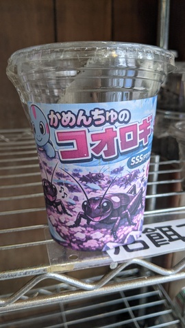 【300匹セット】かめんちゅコオロギSSS2ミリサイズ