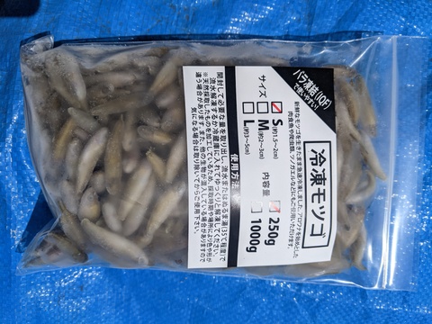 冷凍モツゴS 250g
