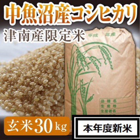 魚沼産コシヒカリ 令和7年度 生産地域限定米 玄米30キロ