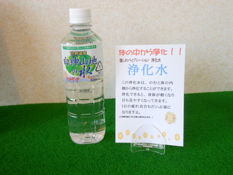 お試し 浄化水