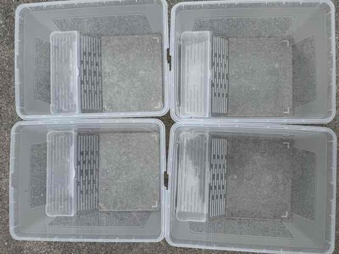 カメ飼育ケース Mサイズ　4個セット