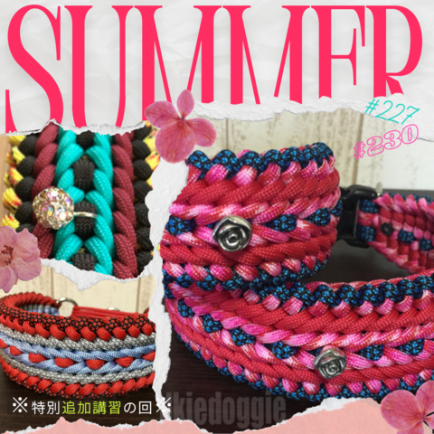 2025/09/20・土 パラコード教室 (初級) in 岩出市 参加予約