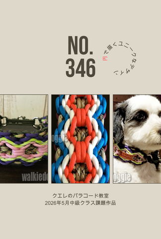2026/05/09 (Sat) パラコード教室・アドバンスドクラス in 岩出市 参加予約