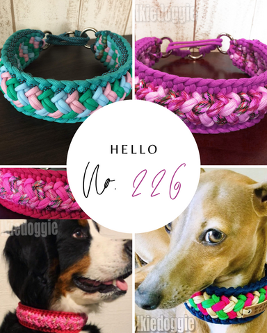 2026/03/07 (Sat) パラコード教室・アドバンスドクラス in 岩出市 参加予約