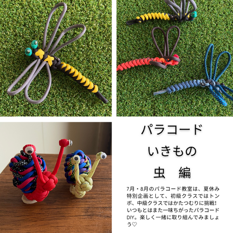 商品一覧 - パラコード幅広首輪&リードのWalkie Doggie