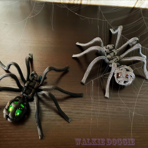 動画コンテンツ 生き物シリーズvol. 1｜パラコードスパイダー ハロウィンにぴったり！