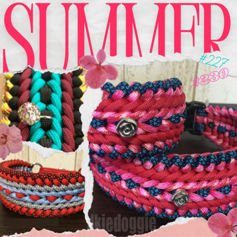 2025/09/27・土 パラコード教室 (初級) in 海南市 参加予約