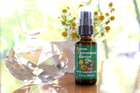 FES フラワーエッセンス ヤローエンバイロメンタル スプレー  30ml