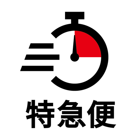 特急便利用(丸洗い特急1枚につきプラス1100円)