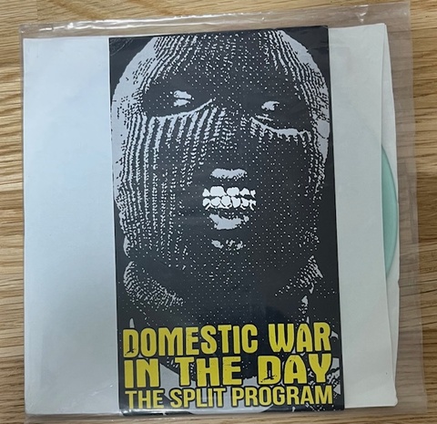 DOMESTIC WAR / IN THE DAY split 7inch