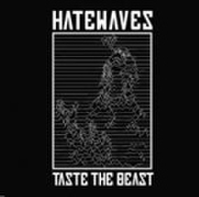 HATEWAVES taste the beast 7inch