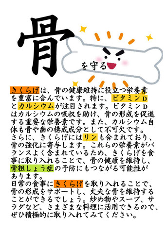 送料無料 子持きくらげ 5袋セット 代引き不可 日時指定不可 ポストへの投函