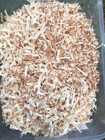 クワ品♡ カブクワshopｰMKｰ on X