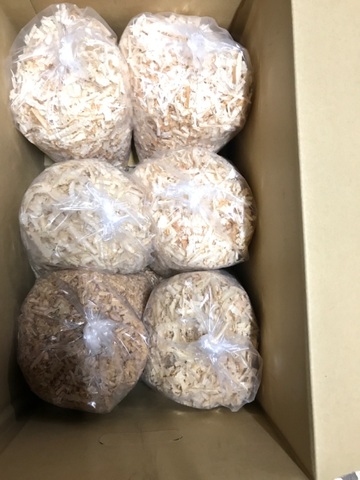 クワ品♡ カブクワshopｰMKｰ on X