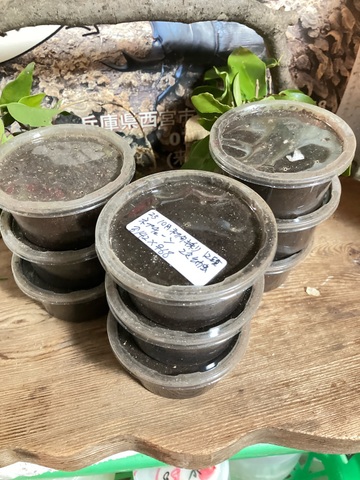 クワガタ・カブト販売店 -Wonder Glove- 販売ページ