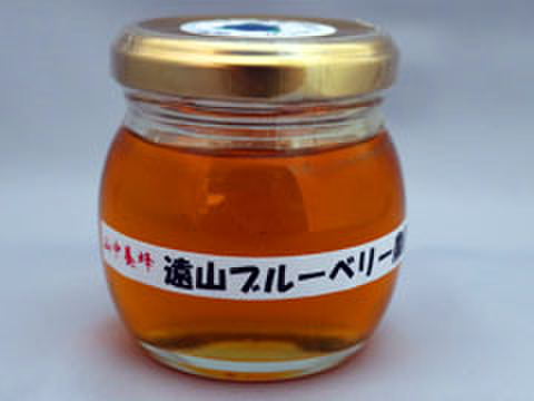 はちみつ・ブルーベリーの花・100ｇ（遠山ブルーベリー農園産）
