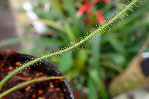 みやっち PROPAGATE Amazon.com: Exmark 135-8324 Pump Z-Spray 135-8318 : Patio